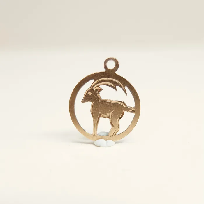 Vintage 9ct Gold Capricorn Charm aliceeden Charm Necklaces